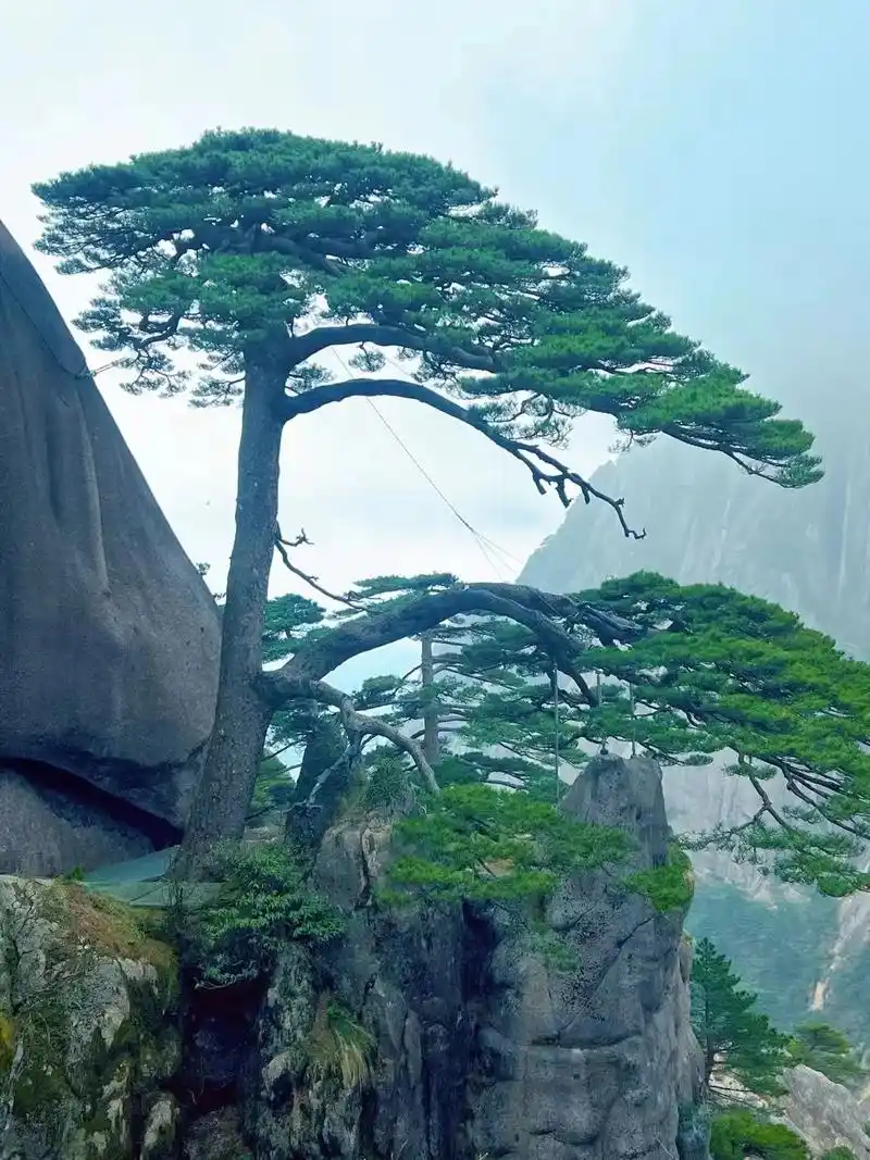 清明节来皖南自驾游