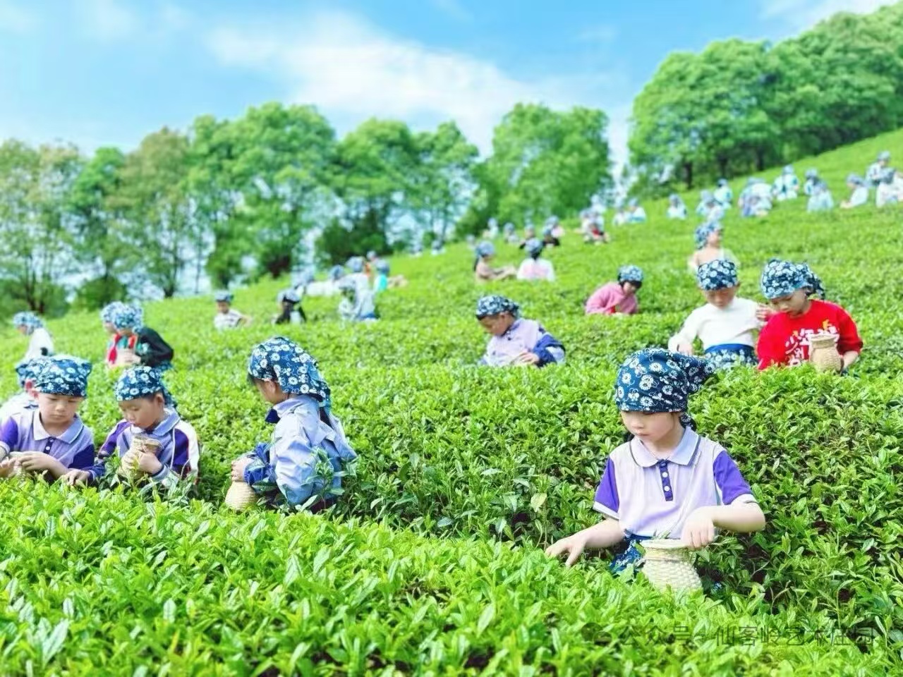 微信图片_202607081102571.jpg 微信图片_202607081102571.jpg