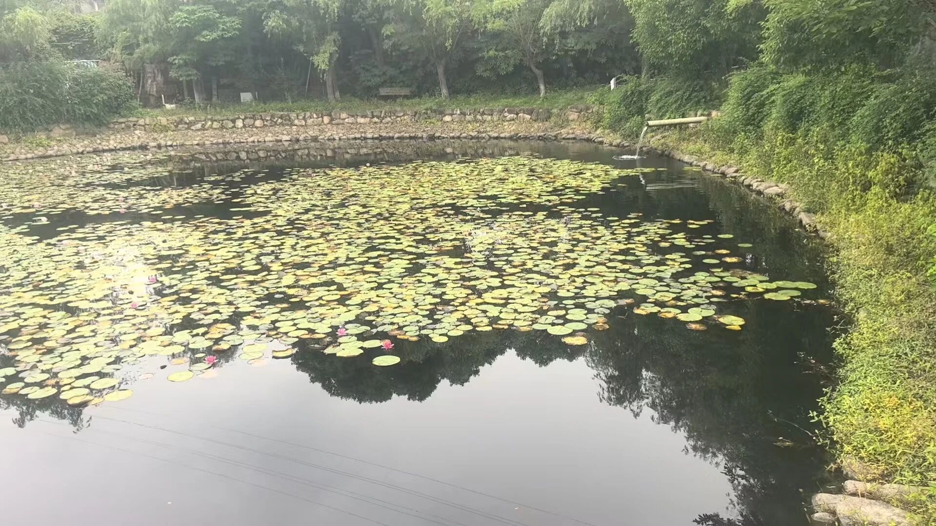 微信图片_20260708164026.jpg 微信图片_20260708164026.jpg