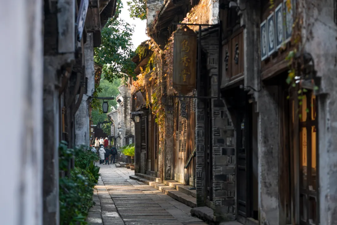 微信图片_20260709105209.webp 微信图片_20260709105209.webp