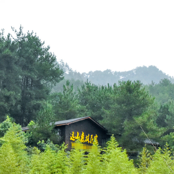 DSC_0121_副本