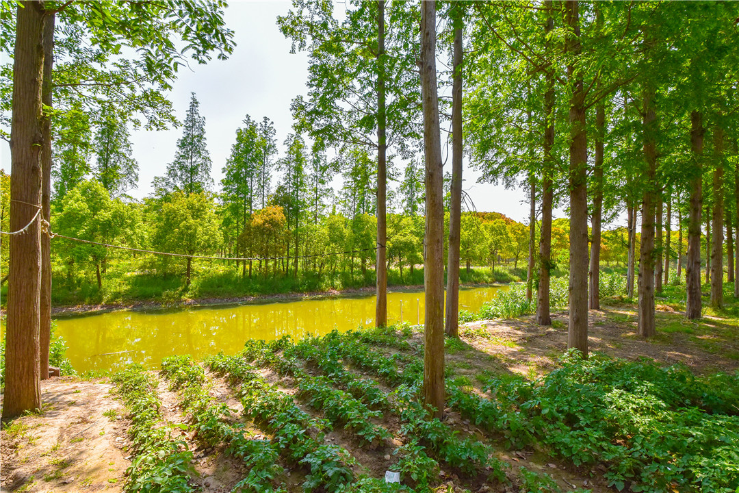 DSC_0678