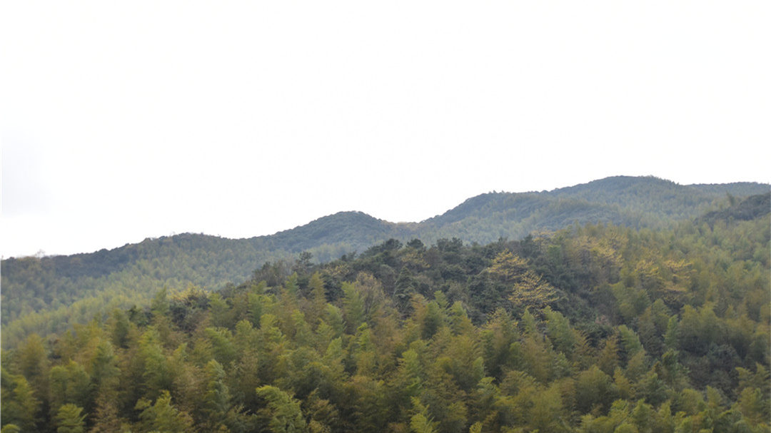 DSC_0081// DSC_0081