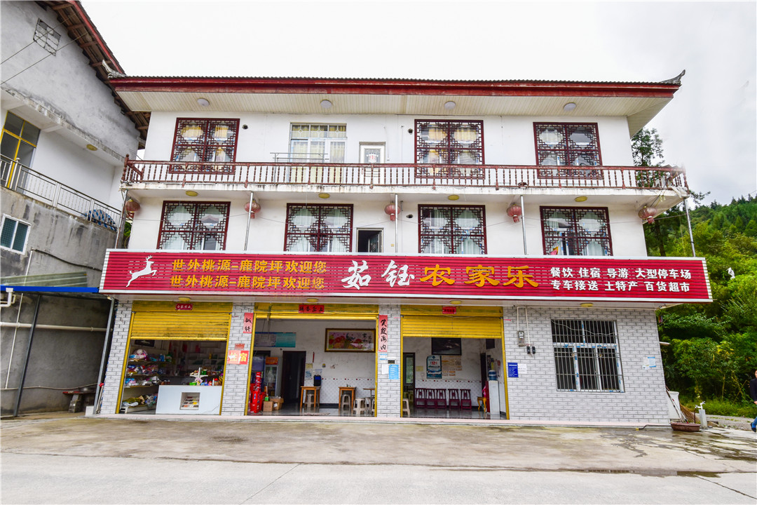 DSC_0264
