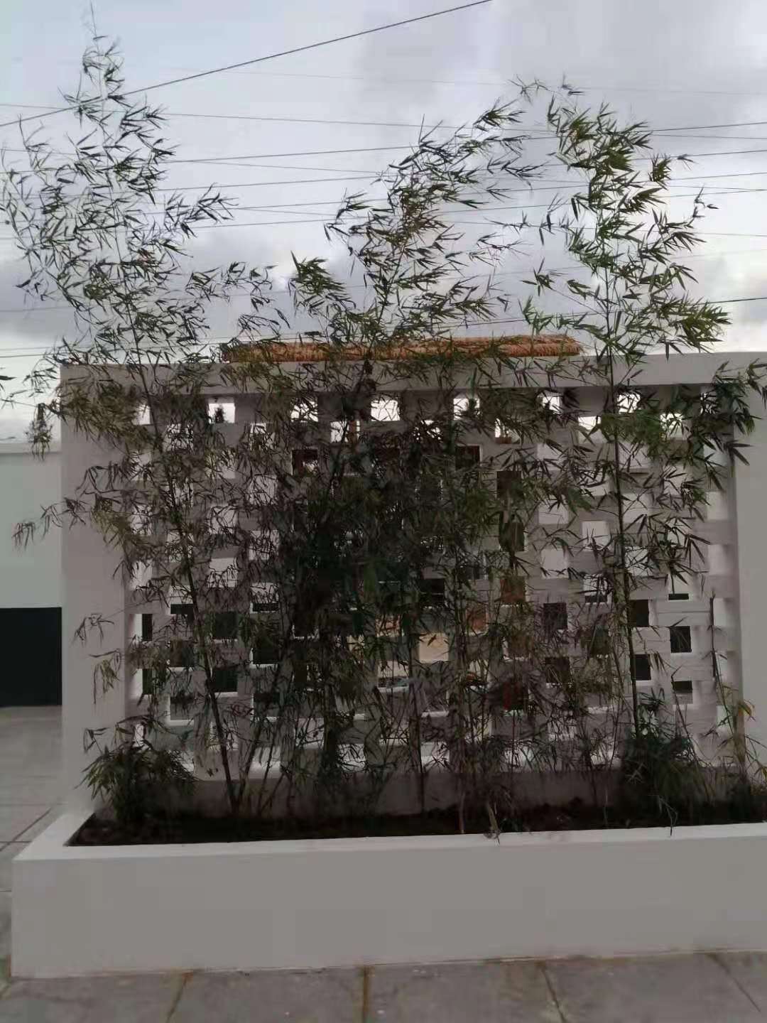 微信图片_2022111009153117