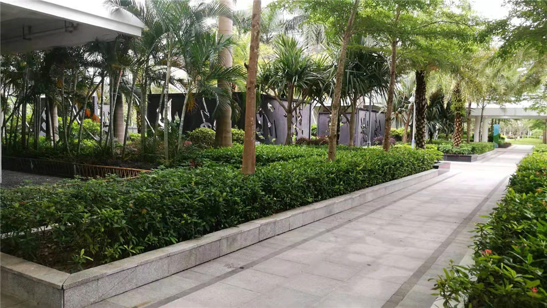微信图片_2021031416253118