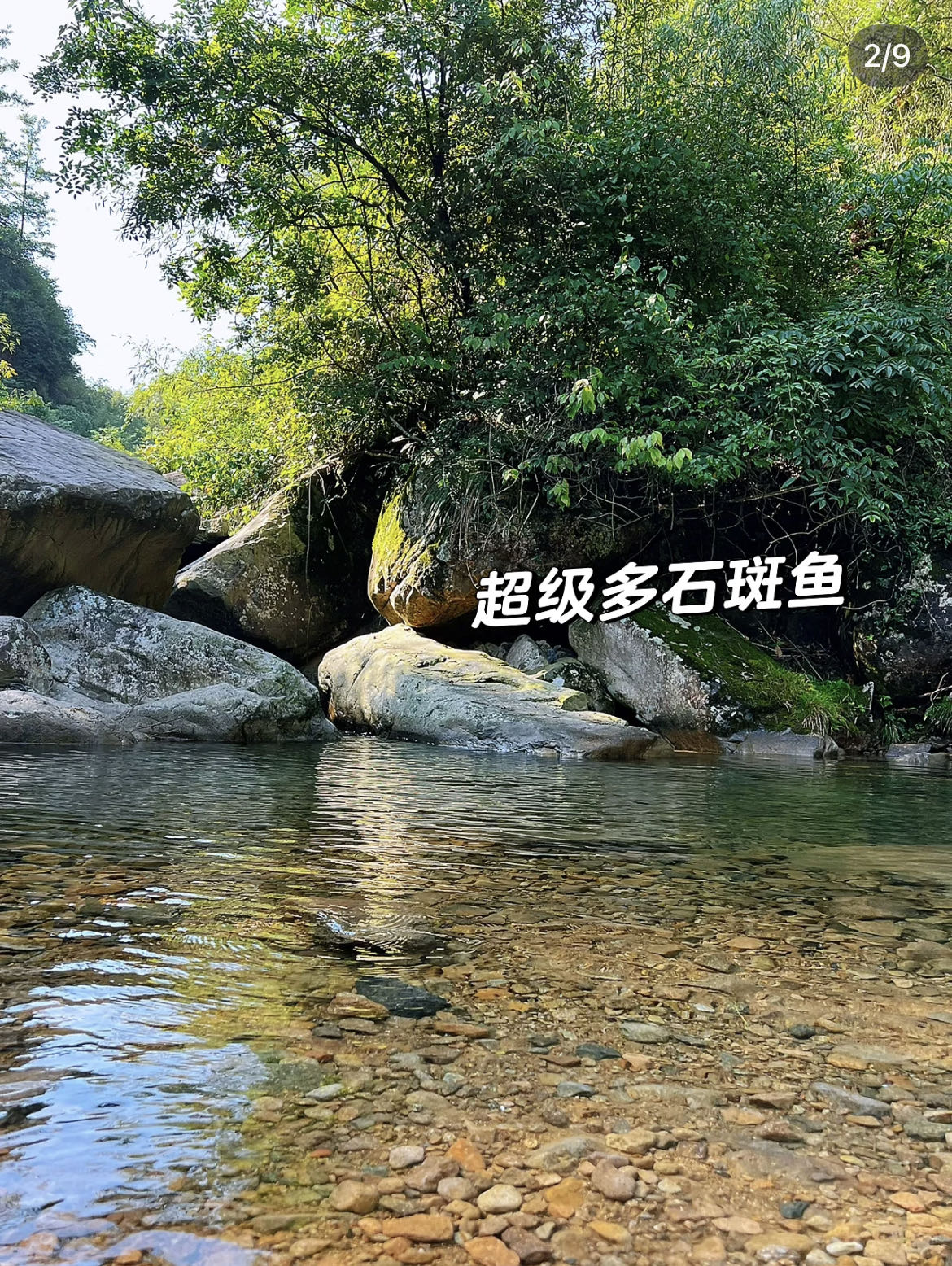 微信图片_2023070421004224 微信图片_2023070421004224