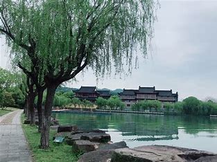 OIP-C - 副本