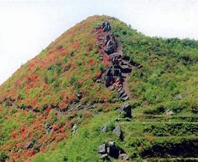 OIP-C - 副本 (8)