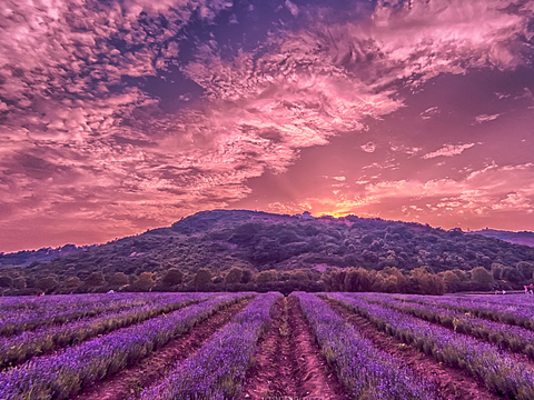 雪浪山