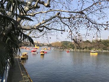 中国最具幸福感城市——上海普陀