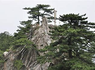OIP-C - 副本 (10)