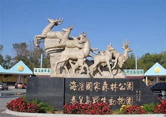 OIP-C - 副本 (7)