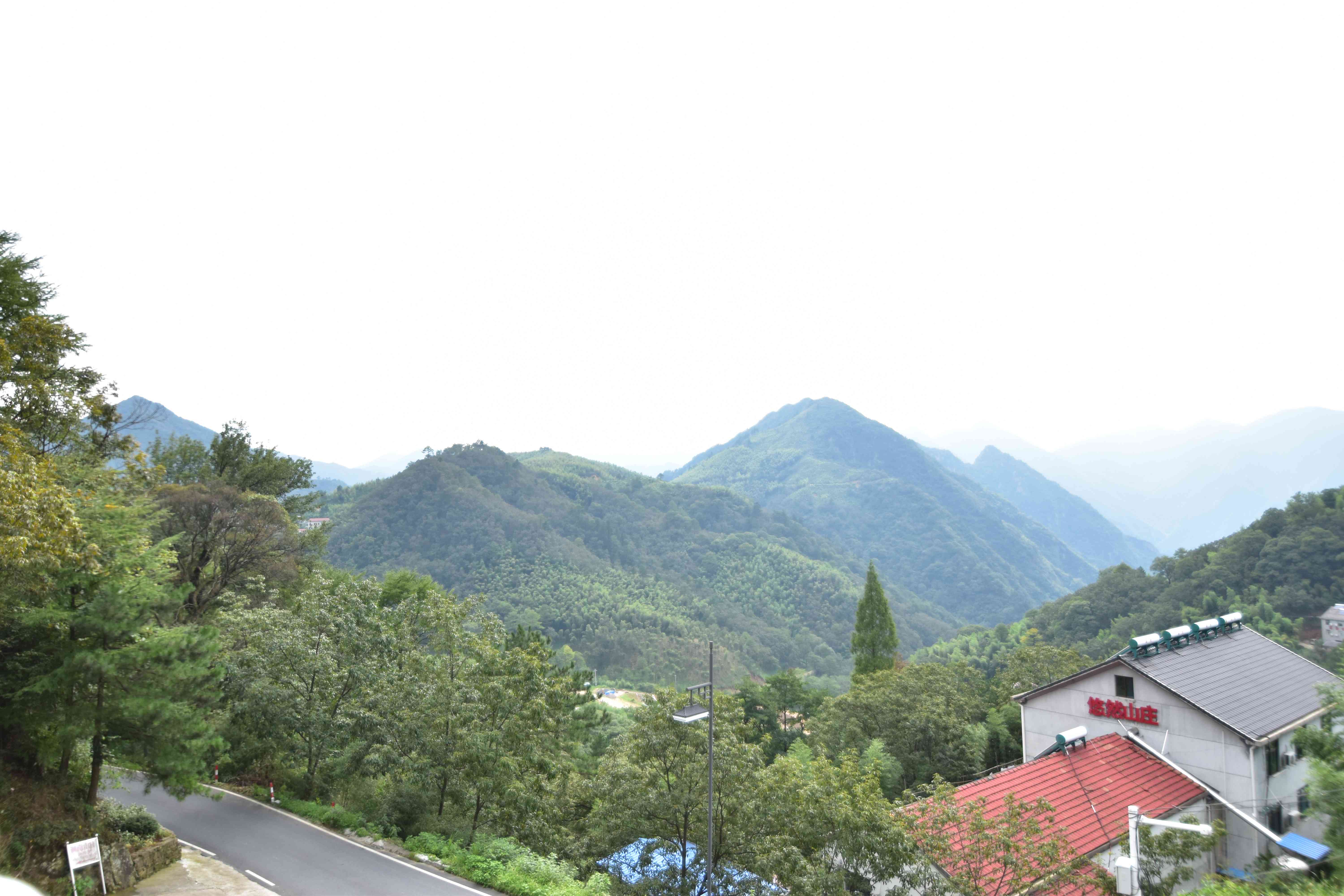 DSC_0692 DSC_0692