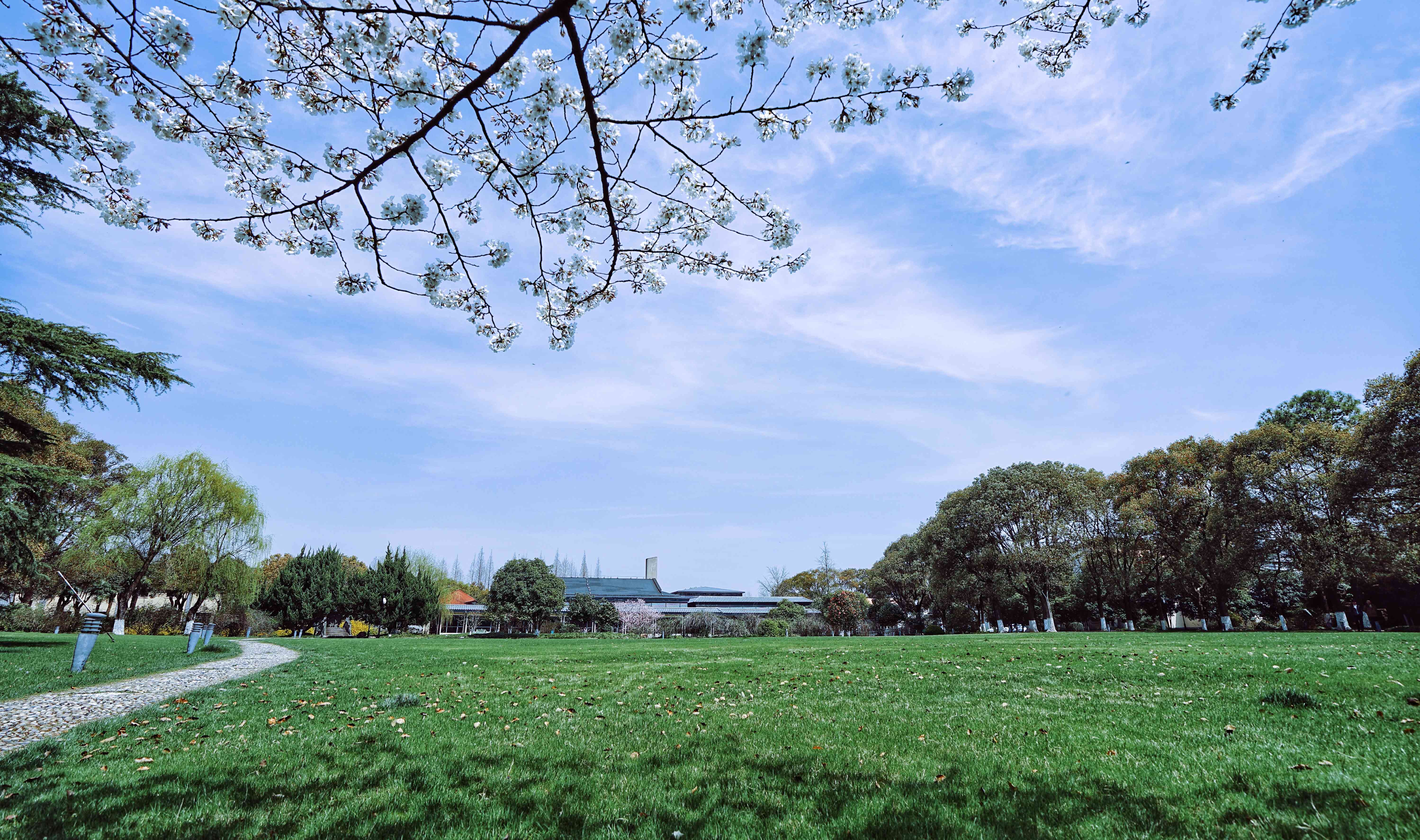 青浦日月岛度假村图片