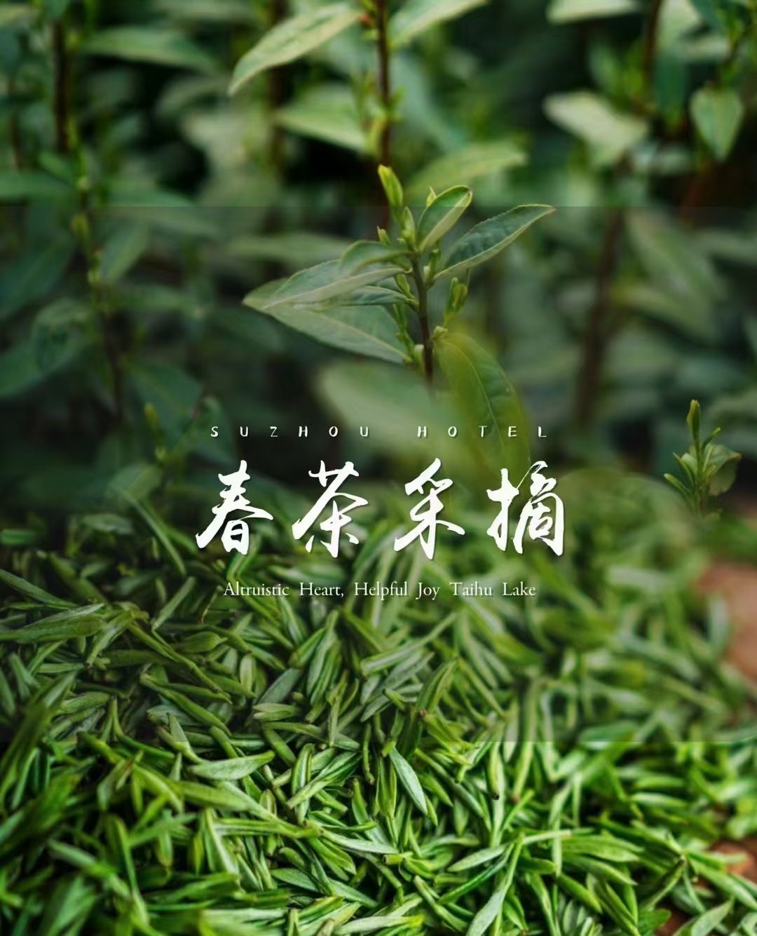微信图片_20240402135707