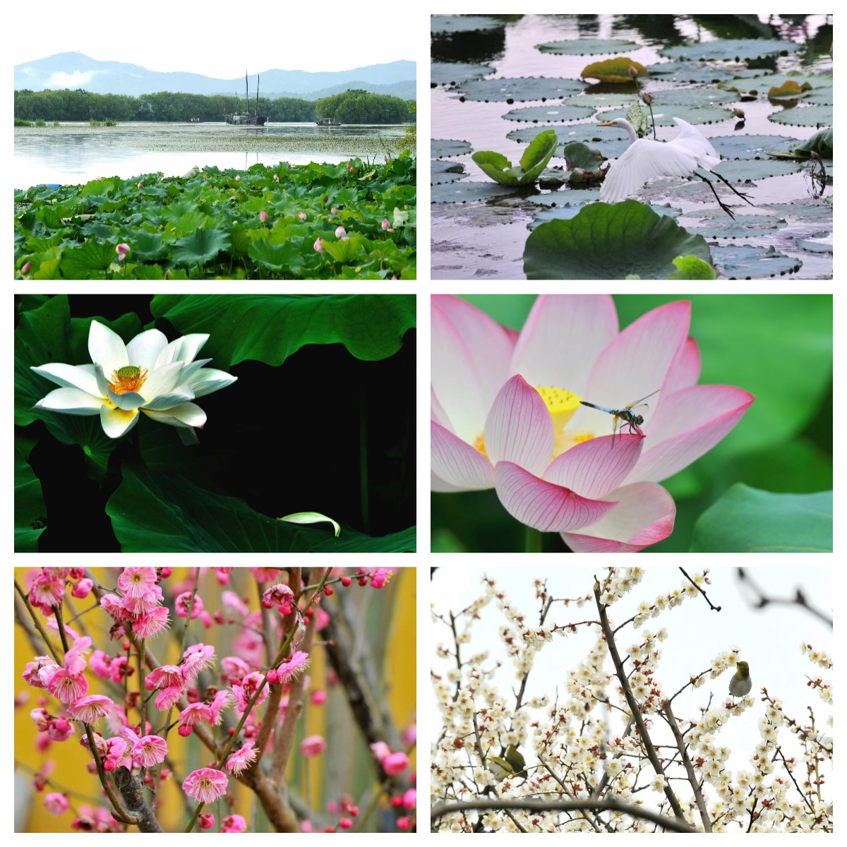 未命名 未命名