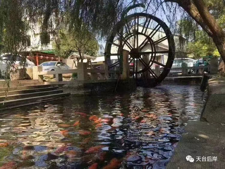 微信图片_20240531101641