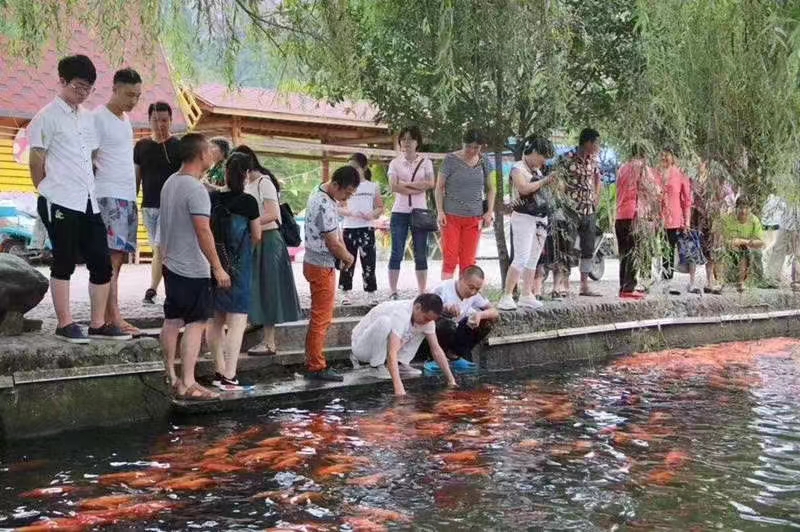 微信图片_20240531101645