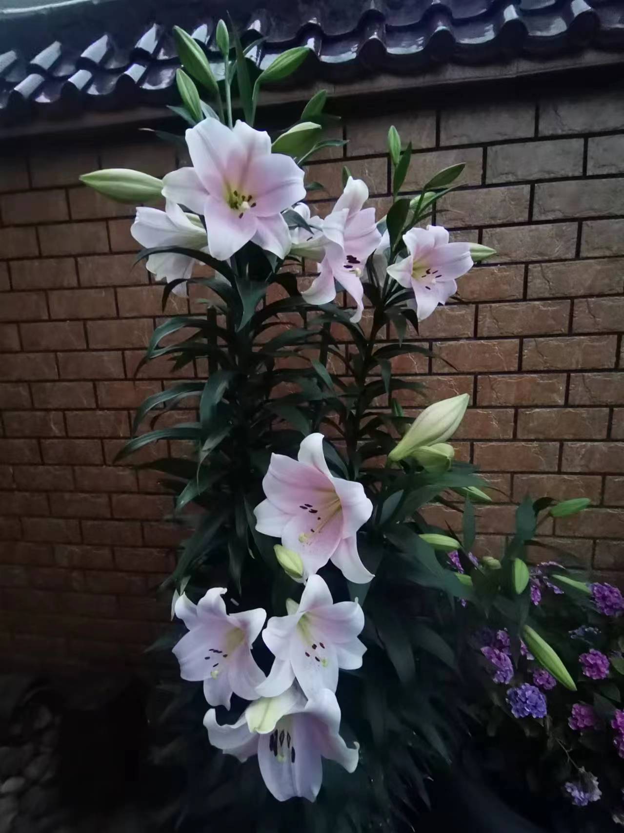 微信图片_20240618100648