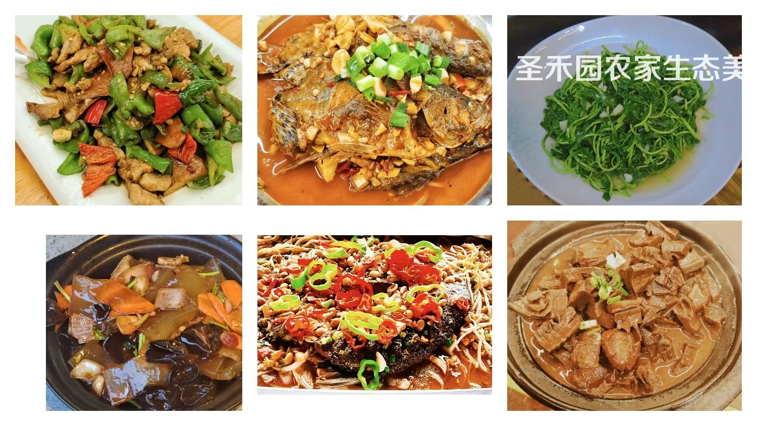 美食及用餐环境：农家大院·生态美食02