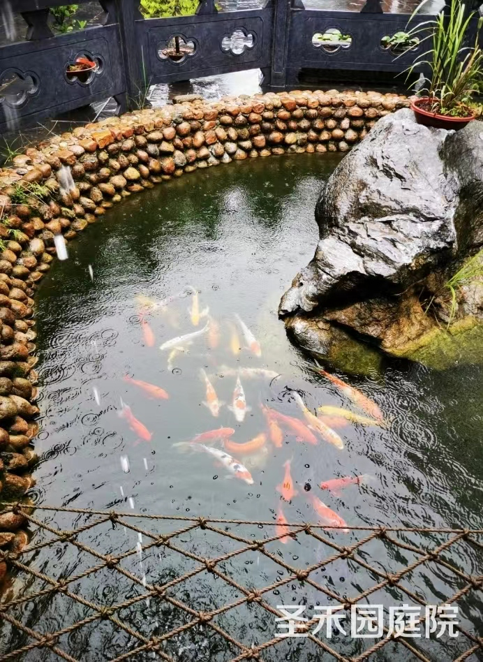 用餐环境05