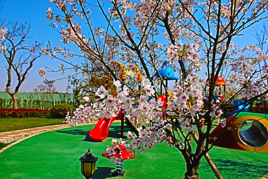 200v13000000u7fmv7D88_W_1080_808_R5_D