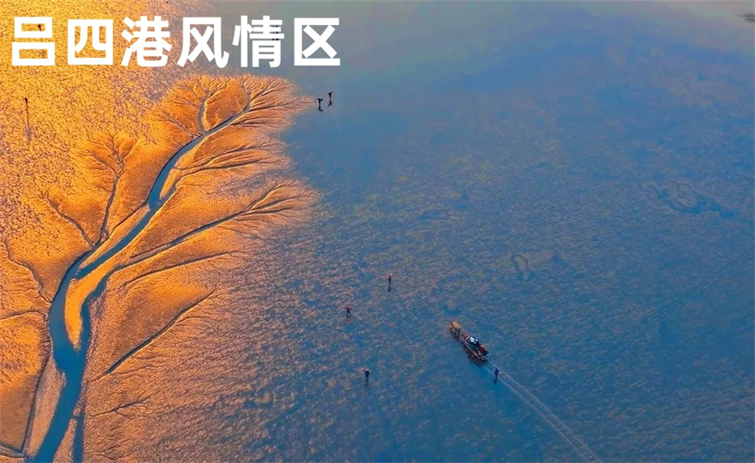 b2851f457d8a5bbefdd0c43fbfca18f0