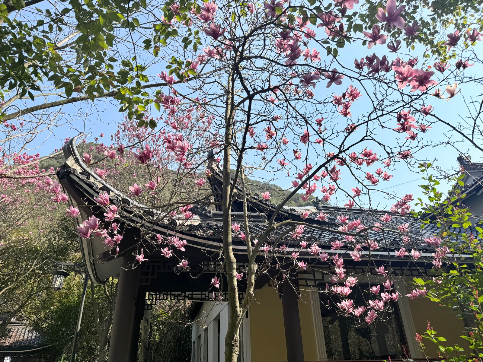 微信图片_20250325153251