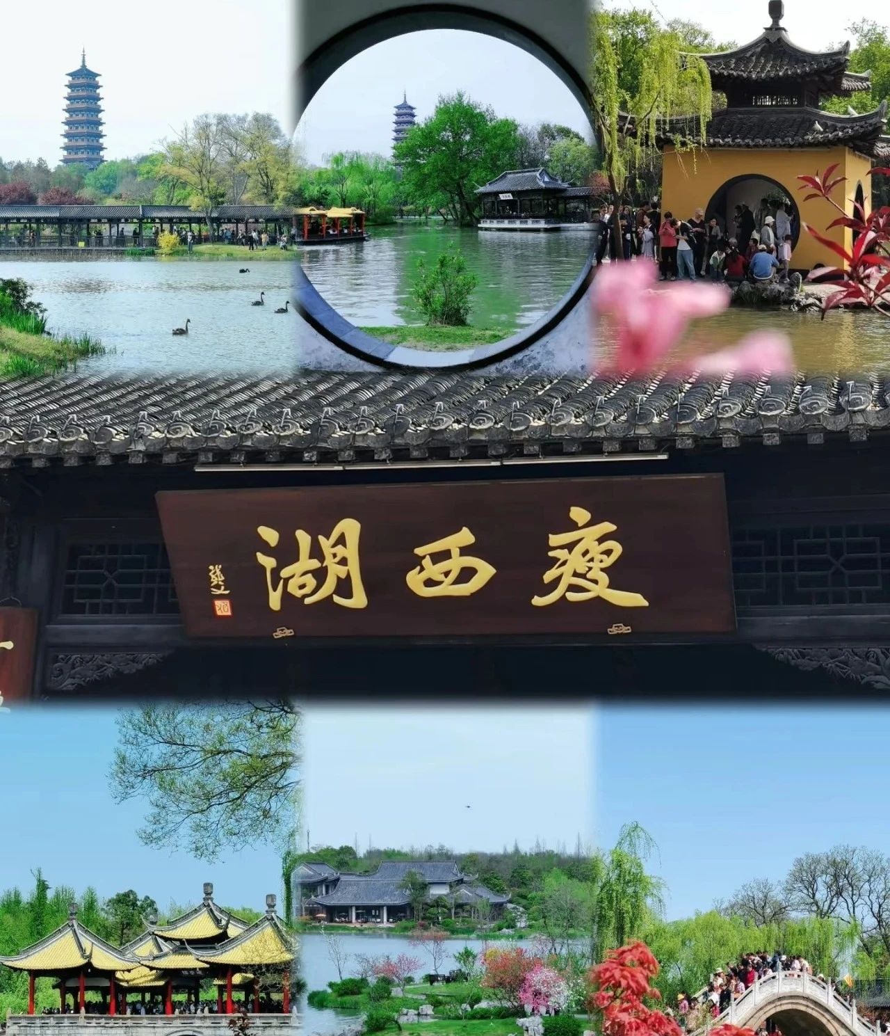 微信图片_20250408143629