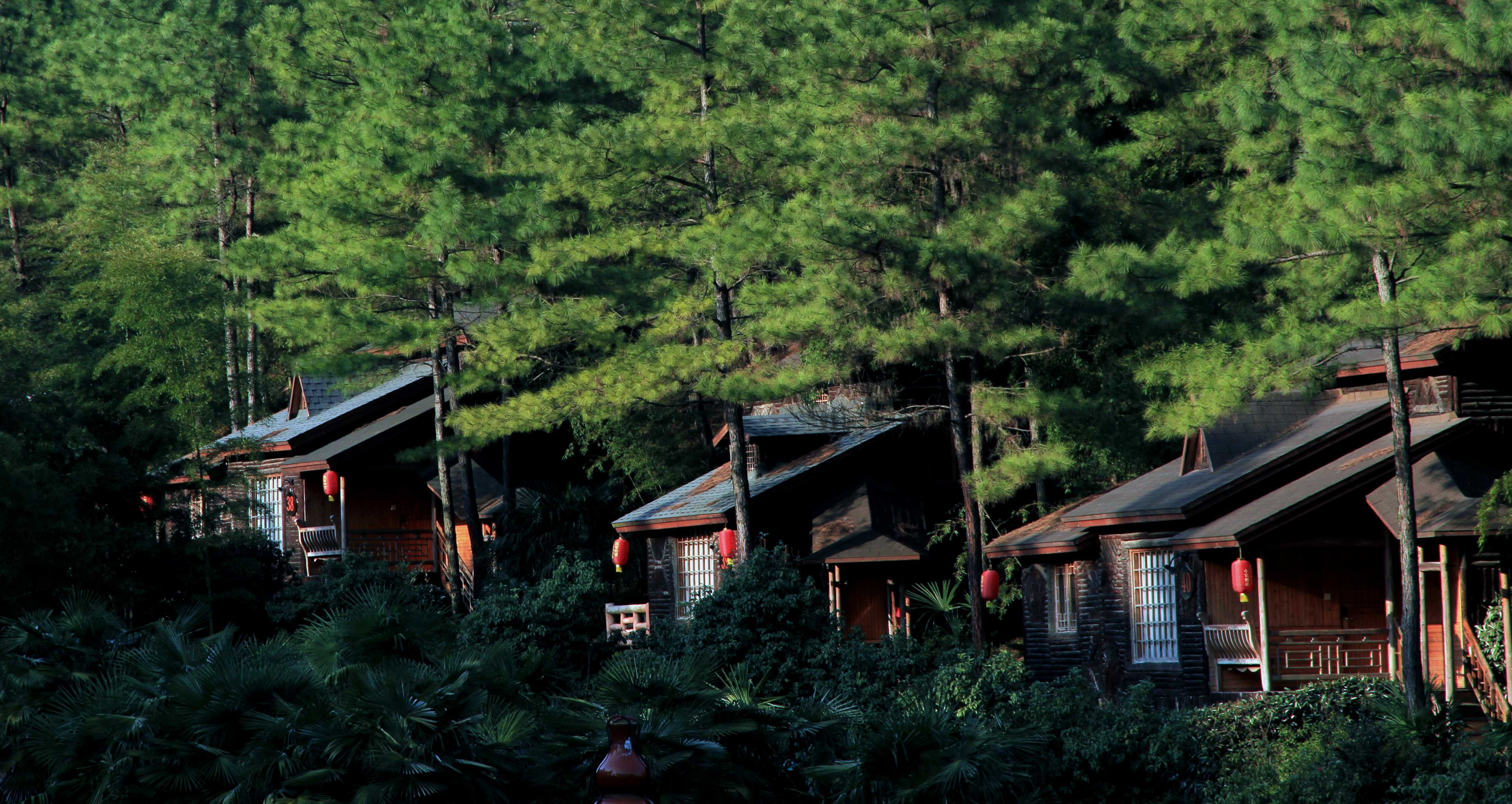木屋外景2