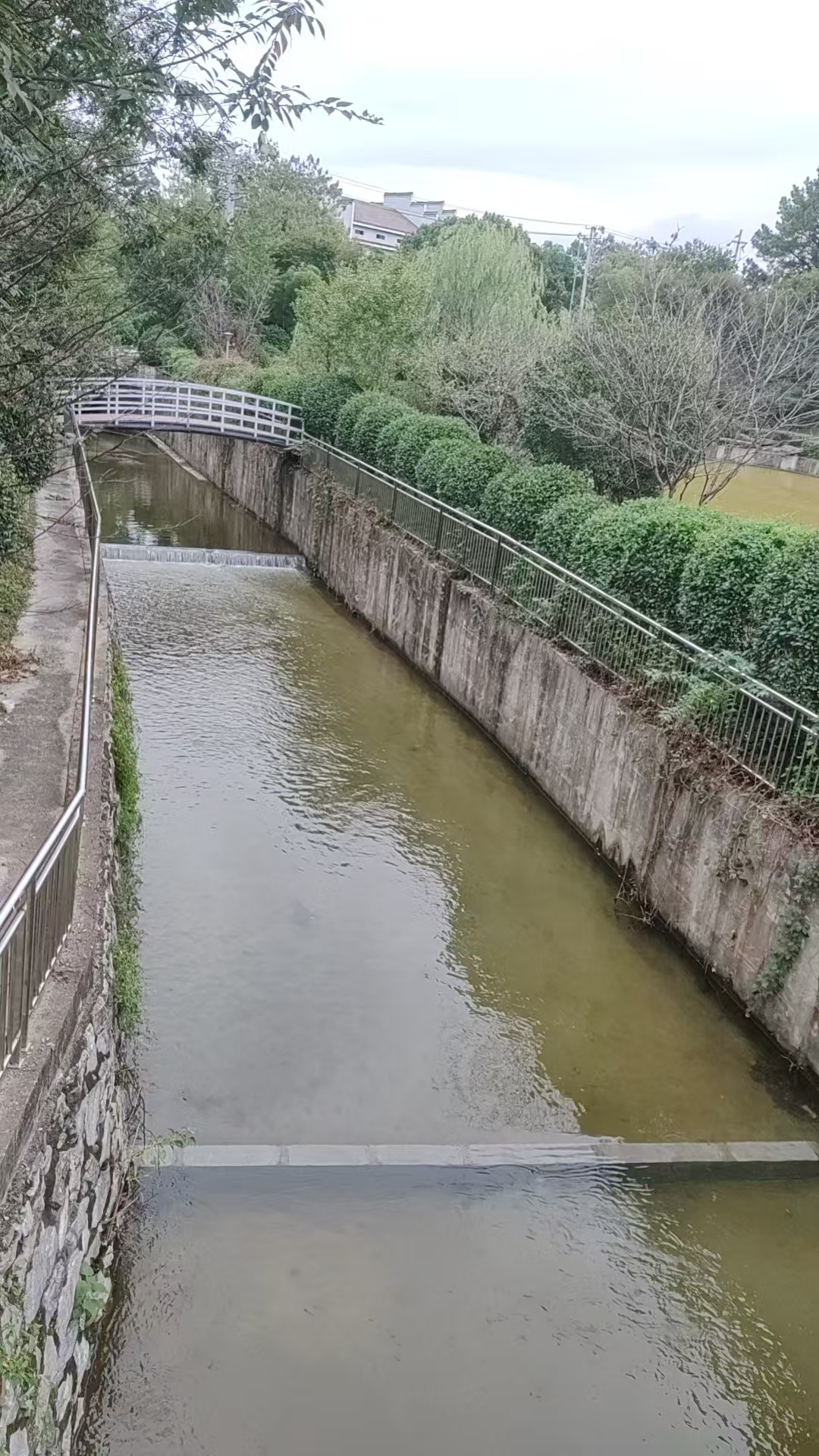 溧阳康鸿
