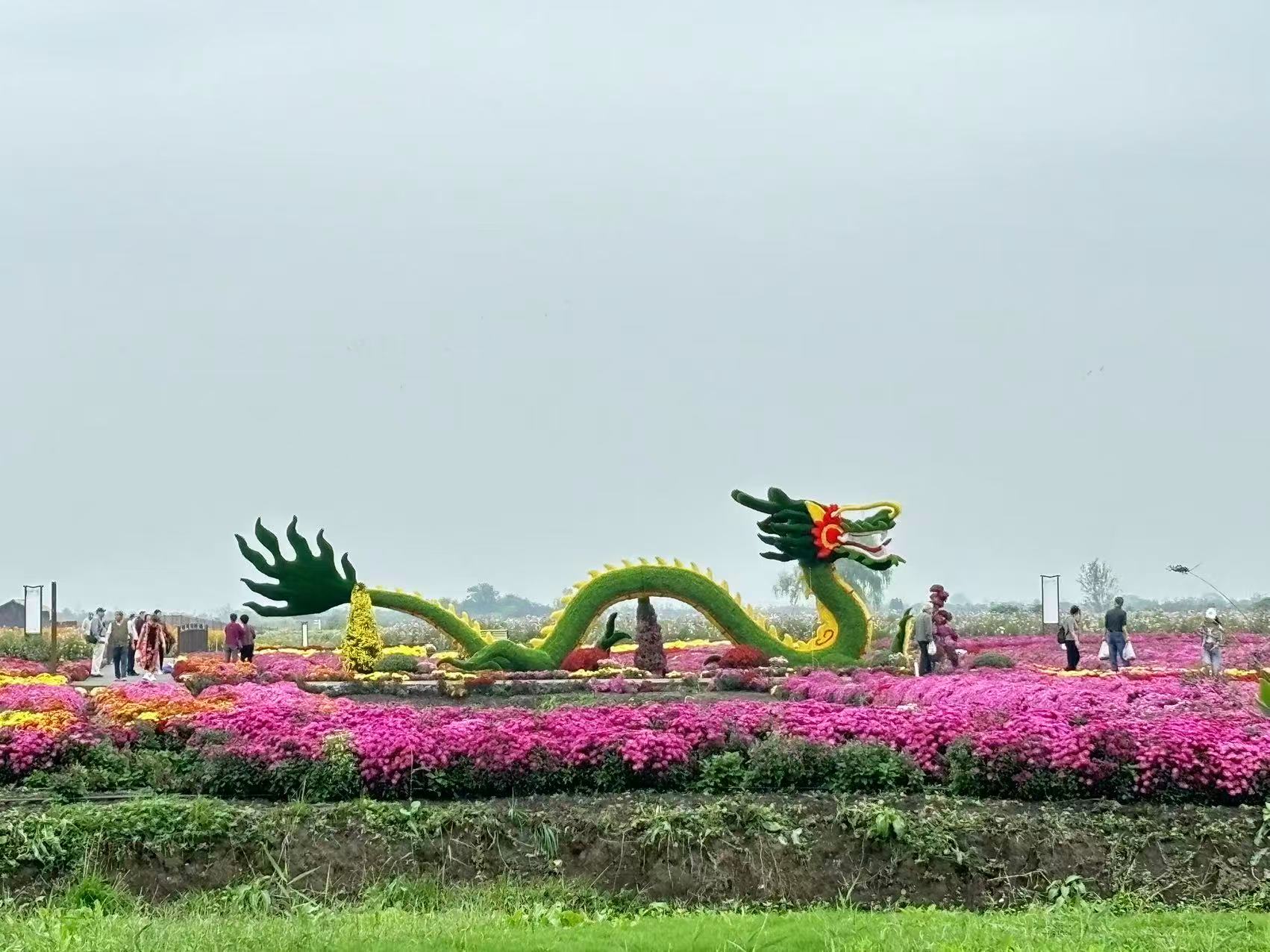 微信图片_20251030094239