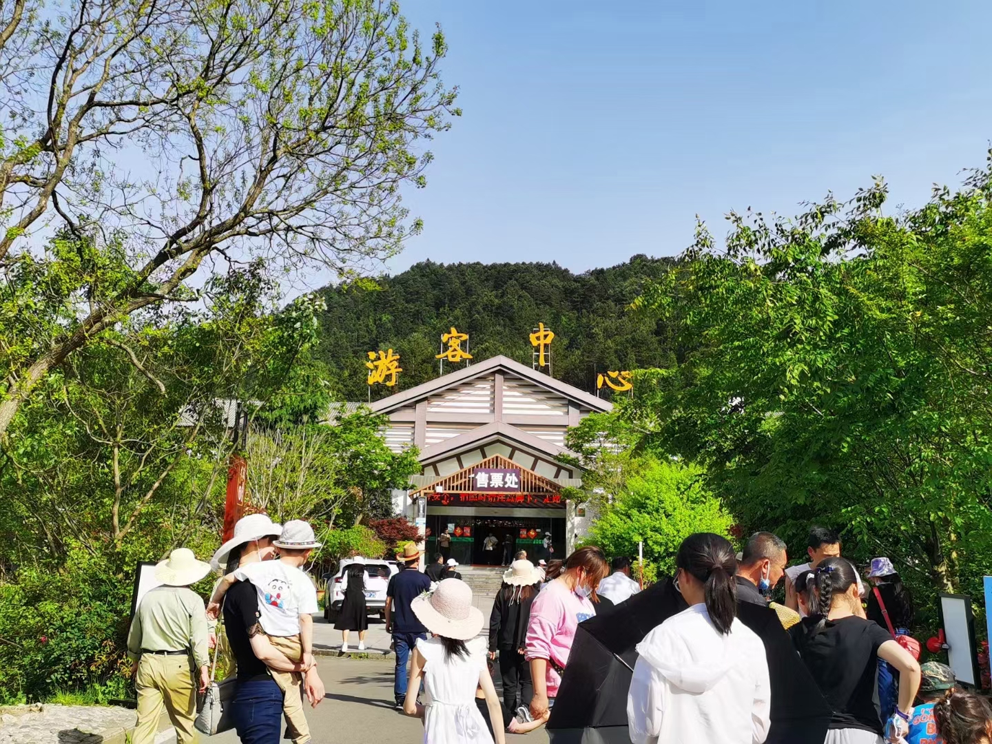 微信图片_202606160816121.jpg 微信图片_202606160816121.jpg